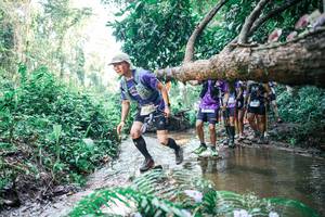 BIB: 
                            <button type="button" onclick="openModal(25466916)" class="btn btn-primary btn-sm float-right btn-popup" data-toggle="modal" data-target=".modal-high-quality">
                        <i class="fas fa-shopping-cart"></i> Add to Cart
                    </button>
                                            <button type="button" onclick="isThisMe(25466916, true)" class="btn btn-success btn-sm float-right btn-popup btn-isme hidden" data-toggle="tooltip" data-placement="bottom" title="นี่คือรูปของคุณใช่ไหม คลิกที่นี่เพื่อเอาเข้าอัลบั้ม">
                        <i class="fas fa-plus"></i> Add to album
                    </button>
                    <button type="button" onclick="isThisMe(25466916, false)" class="btn btn-warning btn-sm float-right btn-popup btn-isnotme hidden">
                        <i class="fas fa-ban"></i> Remove from album
                    </button>